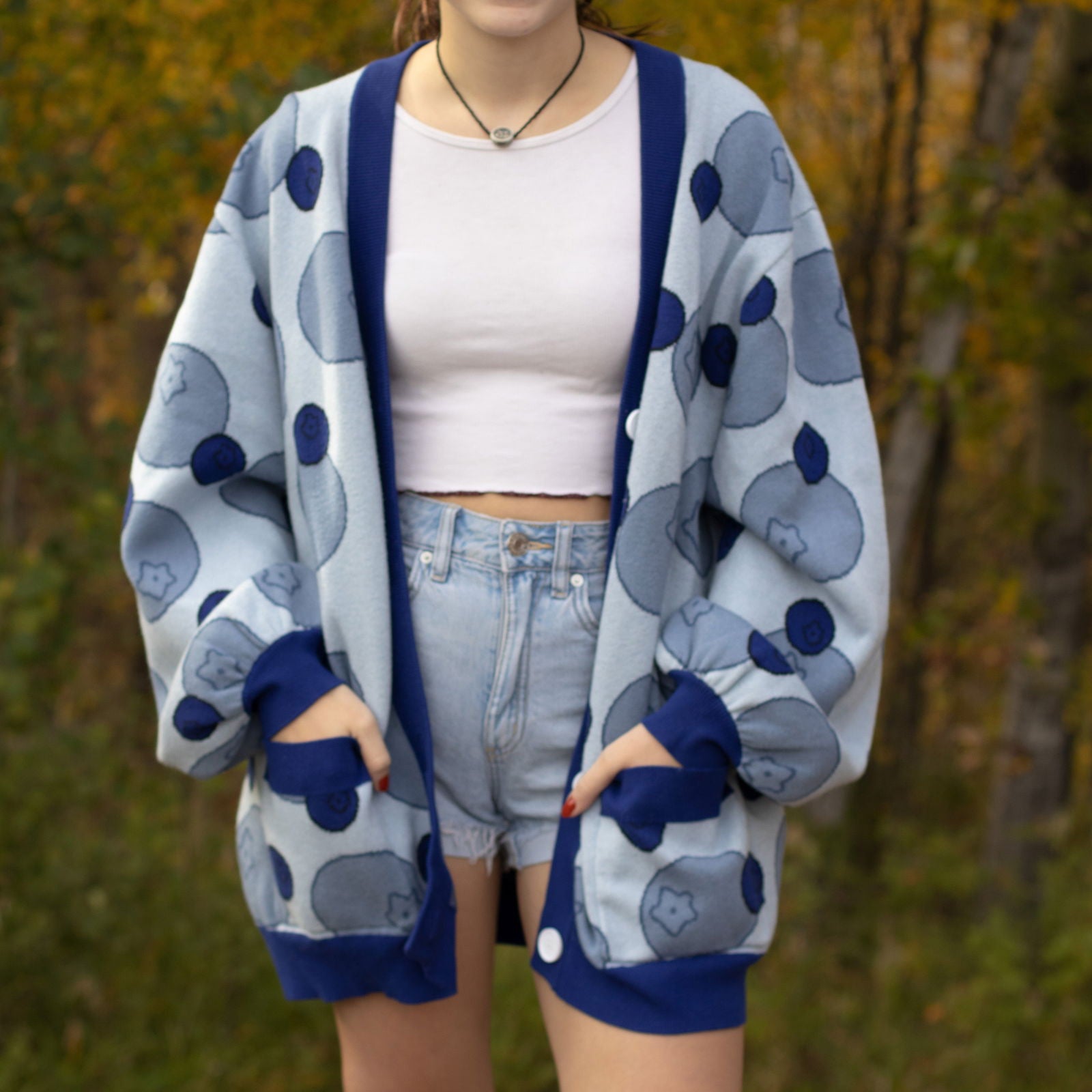 Blueberry Cardigan - Mochipan