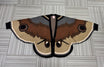 Moth Cardigan - Delicate Grace - Mochipan