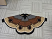 Moth Cardigan - Delicate Grace - Mochipan