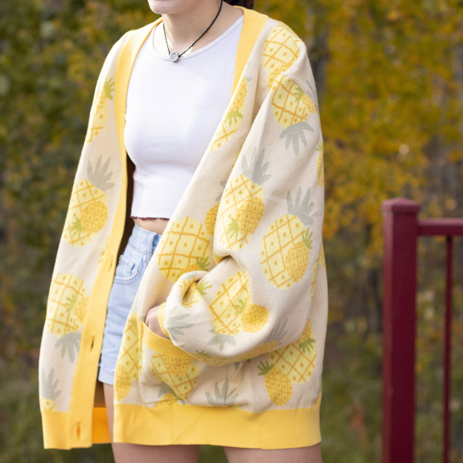 Pineapple Cardigan - Mochipan