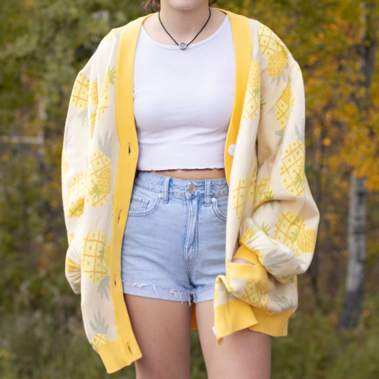 Pineapple Cardigan - Mochipan