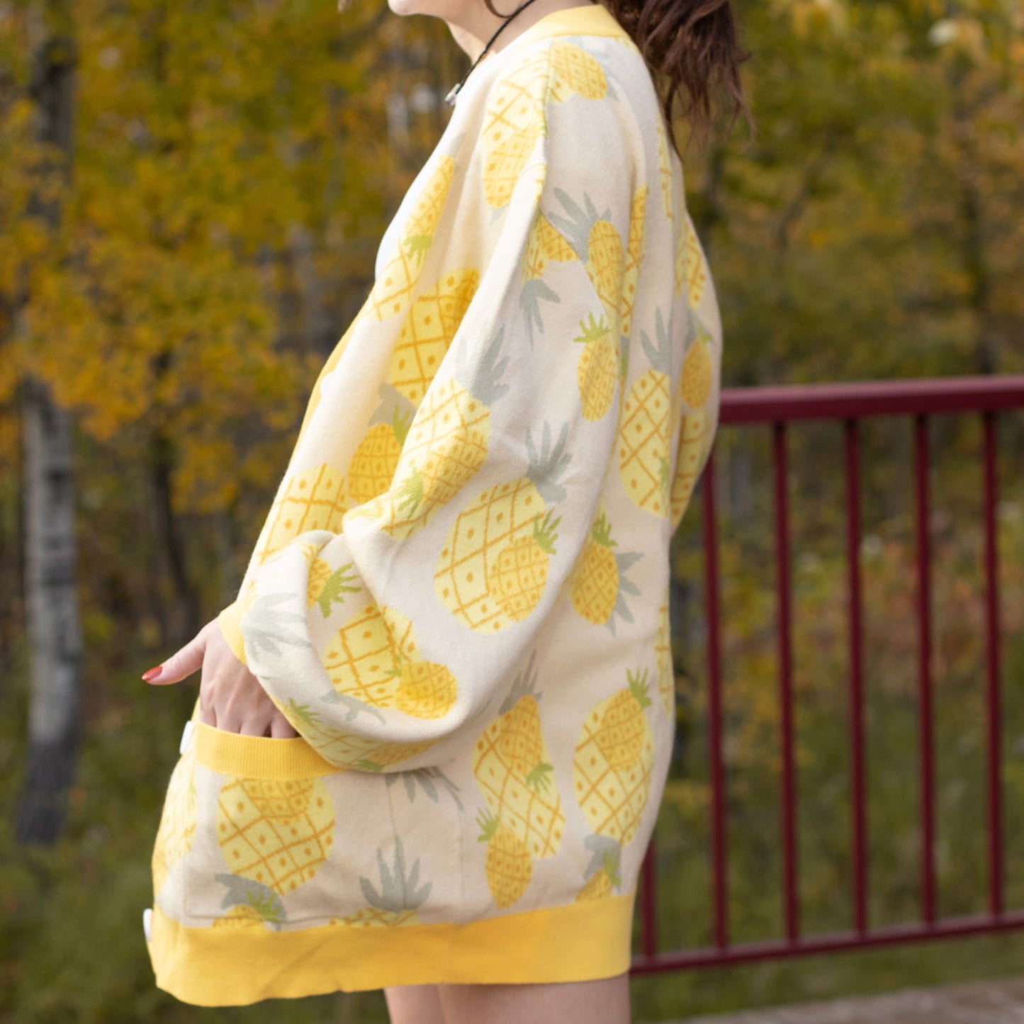 Pineapple Cardigan - Mochipan