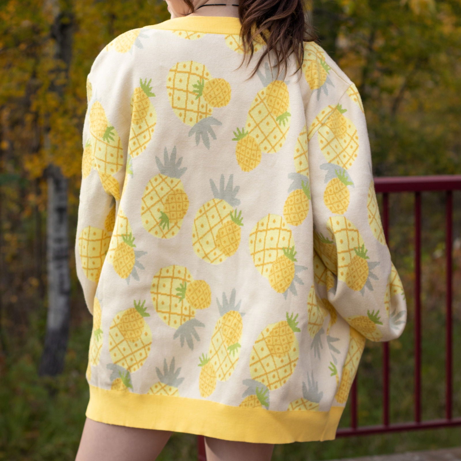 Pineapple Cardigan - Mochipan