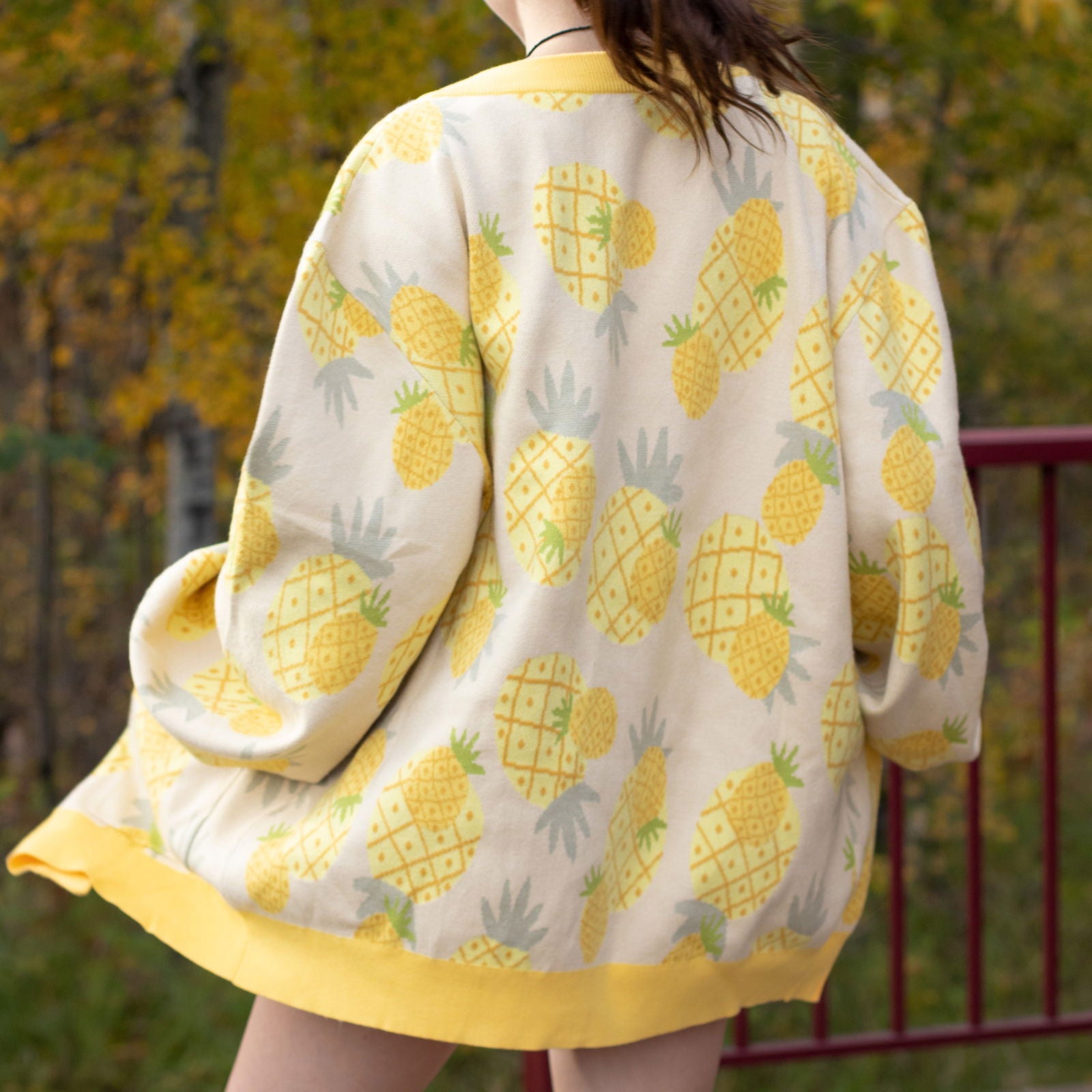 Pineapple Cardigan - Mochipan