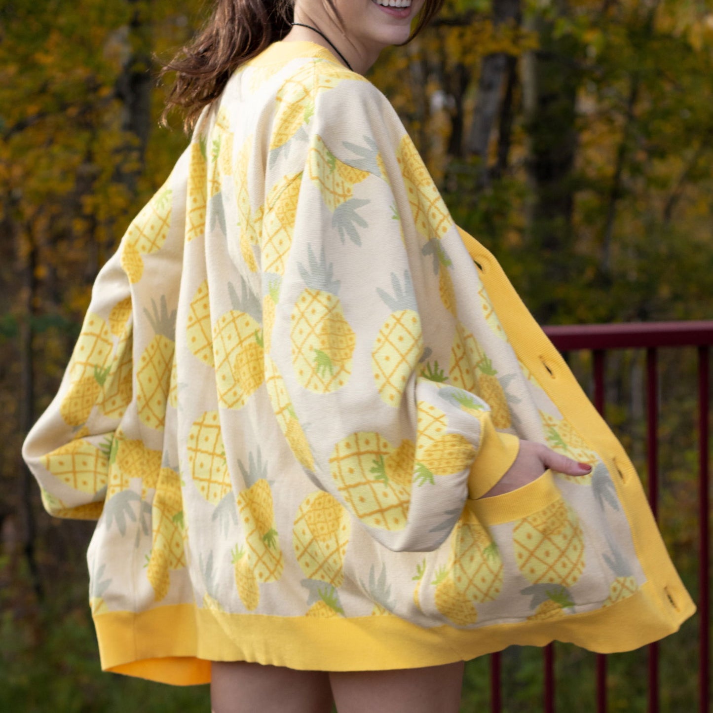 Pineapple Cardigan - Mochipan