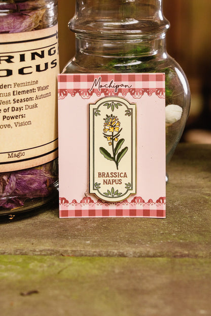 Apothecary Pin Full Collection (Pre-Order)